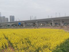 -白鹭湾湿地公园