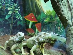 -华夏文旅海洋公园