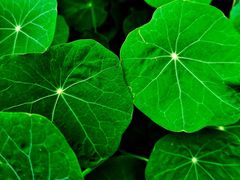 -星巴克臻选(成都宽窄巷子店)