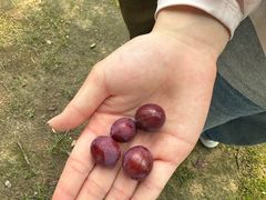 -艾溪湖湿地公园