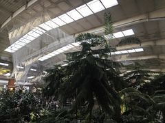 -南宫五洲植物乐园