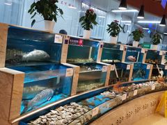 -福娣·金沙银贝海鲜火锅