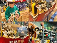 -珠海横琴国家地理探险家中心(创新方)