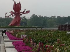 -曹州牡丹园