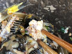 -三道苗苗鱼(三道堰老字号店)
