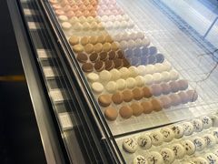 -BLACKSWAN黑天鹅(环球店)