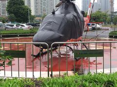 -南方医科大学深圳医院