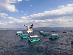 -抚仙湖禄充风景区