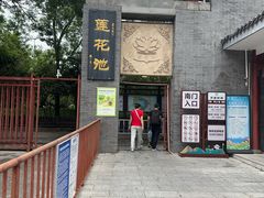 -莲花池公园