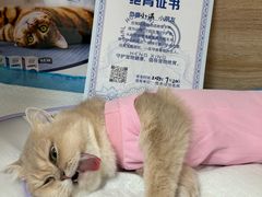-恒幸动物医院·急重症转诊中心·神经内外科·CT核磁