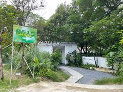 -芭厘农庄老字号·清远鸡