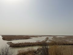 -盐城丹顶鹤湿地生态旅游区