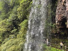 -龙苍沟森林公园