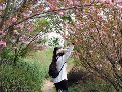 -四明山国家森林公园