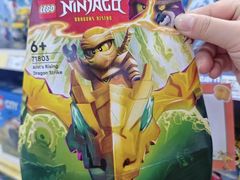 -TOYSRUS玩具反斗城(正大广场店)