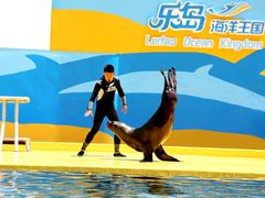 -秦皇岛乐岛海洋王国