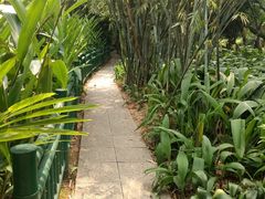 -广州兰圃