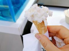 -极拉图·现制冰淇淋(大卫城店)