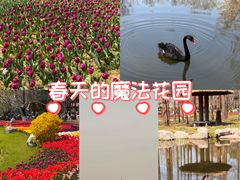 -青岛海滨风景区