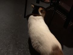 -江湖边·小生活
