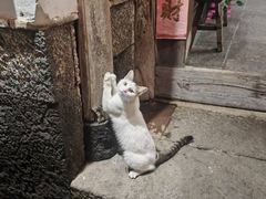 -龙姐私房菜(和顺古镇店)