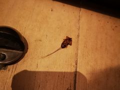 -西双版纳融创皇冠假日度假酒店