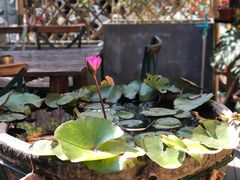 -留香花园(淮海街商业街店)