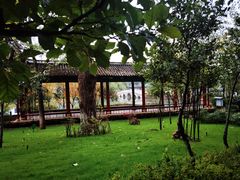-黑龙潭公园