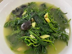 上汤浸桑叶-红日饭店(裕隆三路店)