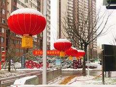 -金陵之星大酒店·中餐厅