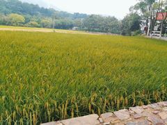 -韶山毛泽东同志故居