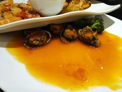 鲍鱼-粤香楼(新光里店)