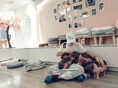 -浣熊柯尔鸭土拨鼠·电玩咖