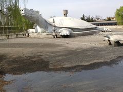 -东方巨龟苑景区