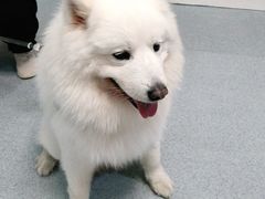 -宠颐生维康宠物医院(金丰店)