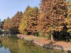 -厦门园林博览苑