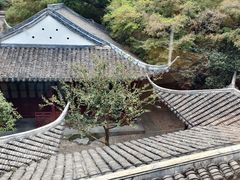 -楼外楼(西湖景区孤山路店)