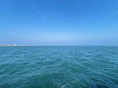 -星海湾跨海大桥