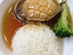 鲍鱼-海岛渔村大酒店(云霄路店)