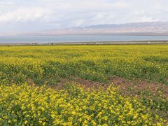 -青海湖国家重点风景名胜区