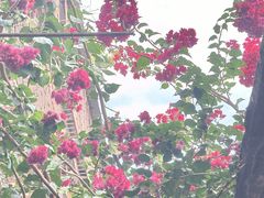 -荔湾湖公园