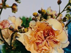 -金海华·Winsun玲珑国际·赫本时光(园区金鸡湖店)