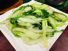 -南记老牌牛骨汤