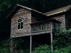 -朱雀国家森林公园