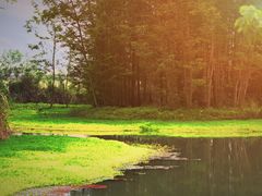 -桤木河湿地公园