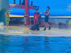 -三亚海昌梦幻海洋不夜城