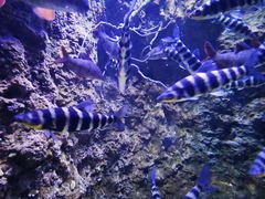 -成都浩海立方海洋公园