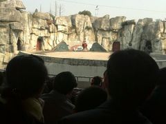 android_upload_pic-南昌动物园