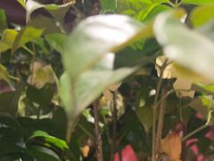 -热火朝天鲜切牛肉火锅(南强街巷店)