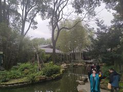 -南山植物园
